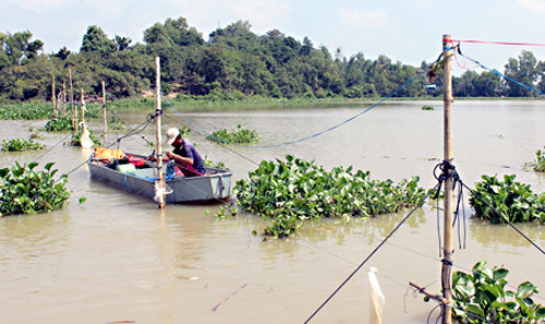 Đồng Nai